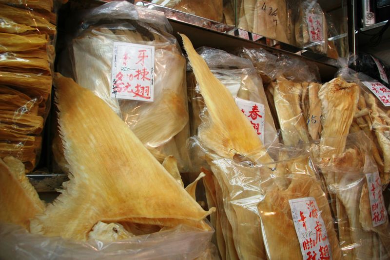 基因分析研究 香港市售「魚翅」竟來自76個物種