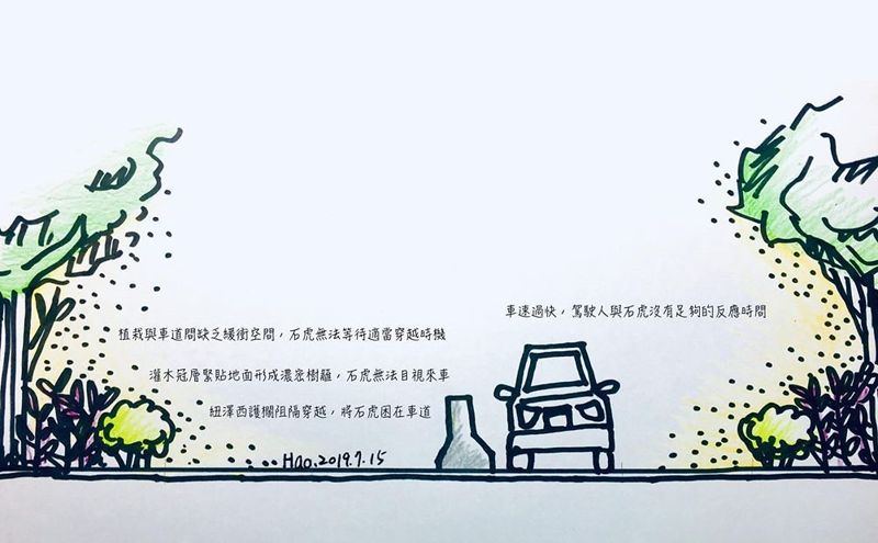 賴玉菁／怎樣才能讓苗140不再是石虎的死亡陷阱