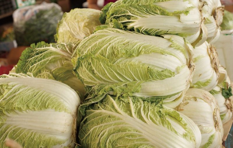 大唐食事 野菜、蔬菜與糧食作物