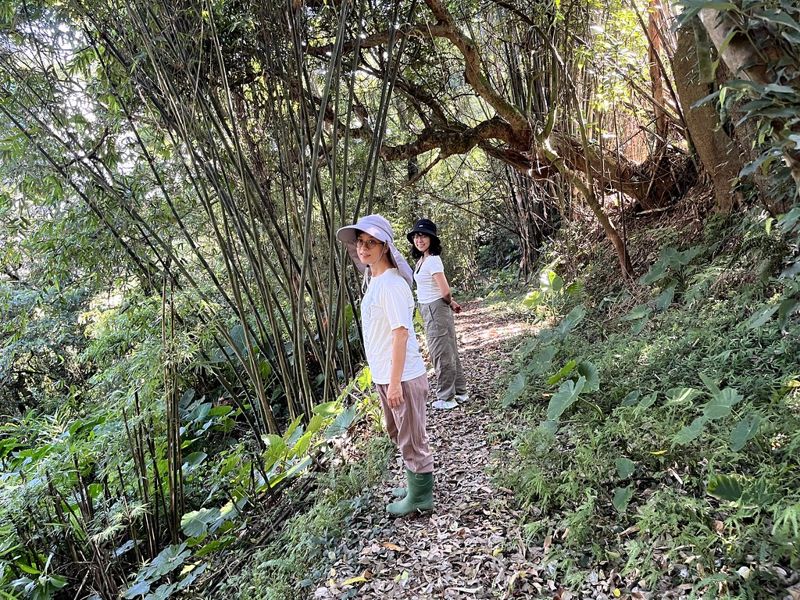 從革命基地到在地小客廳,巫雲山莊串起陽明山人口網絡