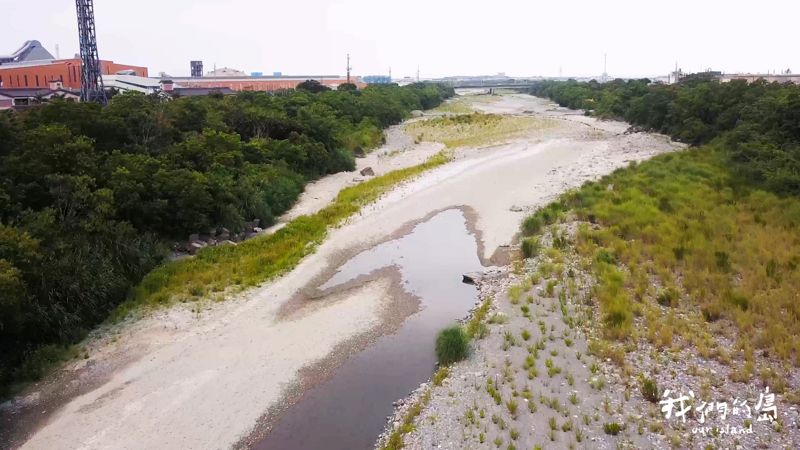 當新城溪斷流，魚蟹大量死亡！如何為溪流留下生機？