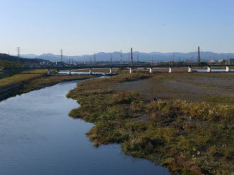 復育路遙遙，前程似錦？或「錢」程是「緊」？（下）