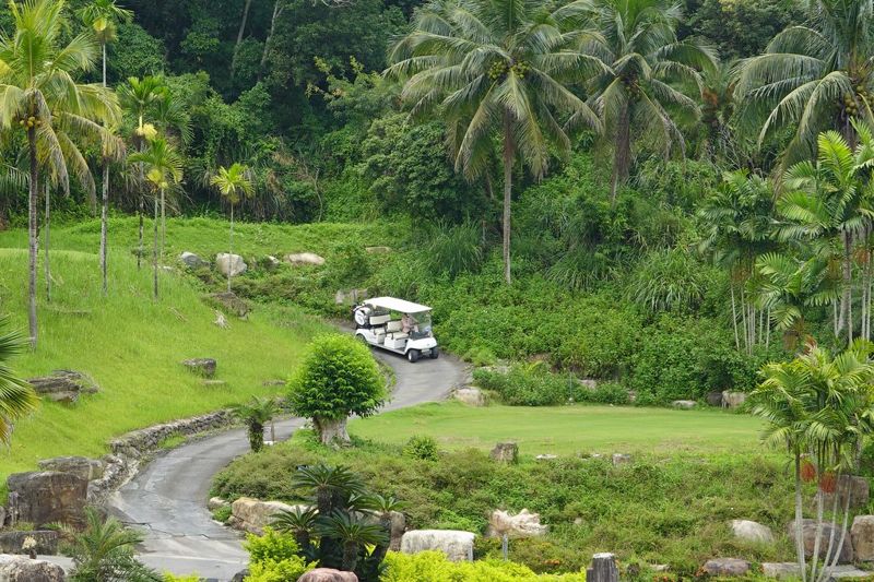 曾因衝擊石虎棲地遭駁回 台中鴻禧太平高球場擴建再闖環評