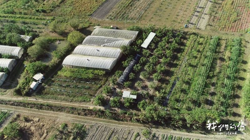 有機專區搬遷夢 南科橋頭園區開發能否與農業、鳥類共存？