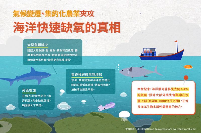 沒有氧氣魚怎麼活？ 一張圖帶你了解海洋缺氧真相