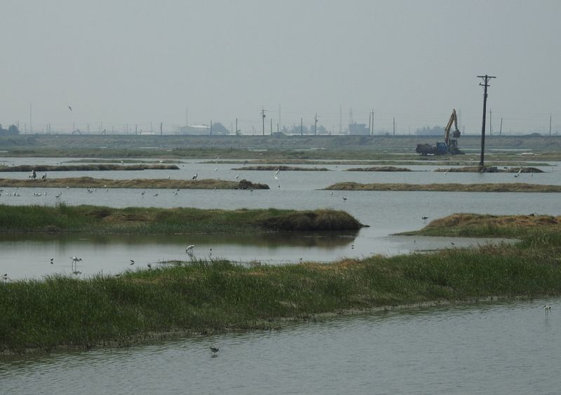 ​​​​​​​當再生能源遇見濕地 民間：建立制度 走得慢才能走得遠