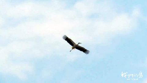 縮圖