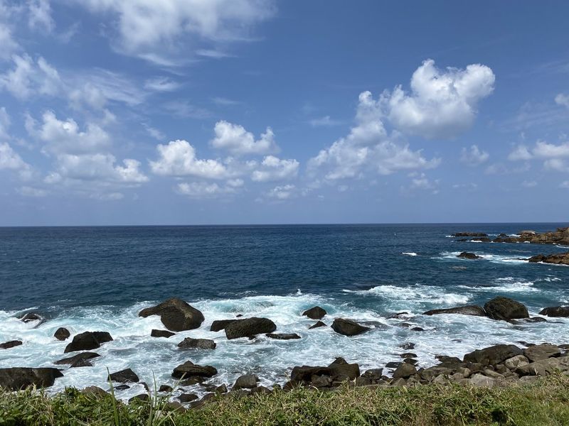 向海致敬二年了 海委會諾今年完成「海洋三法」立法
