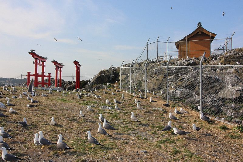 311後日本修訂生物多樣性策略 設立三陸國立公園 強調減災、與自然共生
