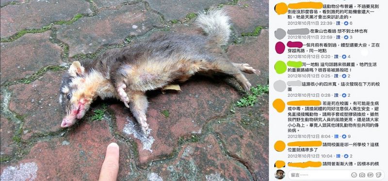 狂犬病爆發意外喚起關注 「路殺2.0」推系統化調查
