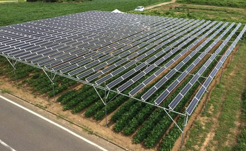 日本前首相菅直人：營農型光電可供兩倍全國用電 2050年廢核、100%再生能源完全可行