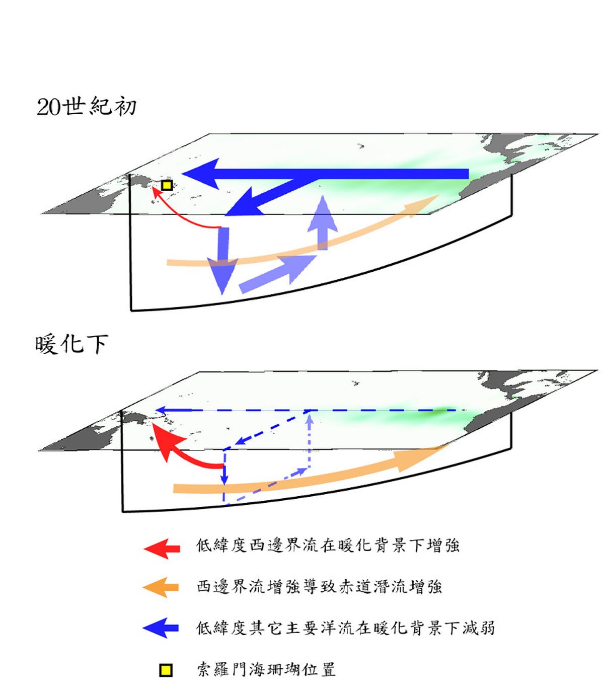 今年是大聖嬰年？ 台大用珊瑚同位素證實 全球暖化加強西邊界流