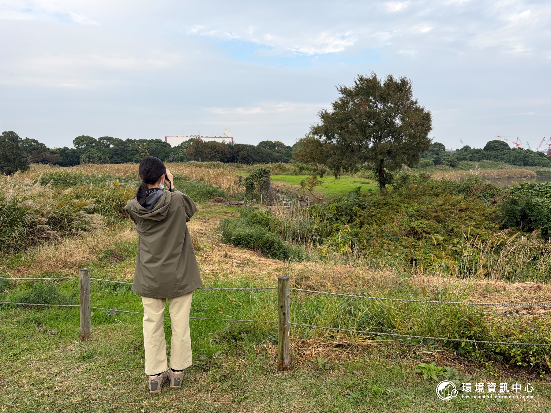 日本鳥會已在這裡服務超過35年。攝影：陳立炘