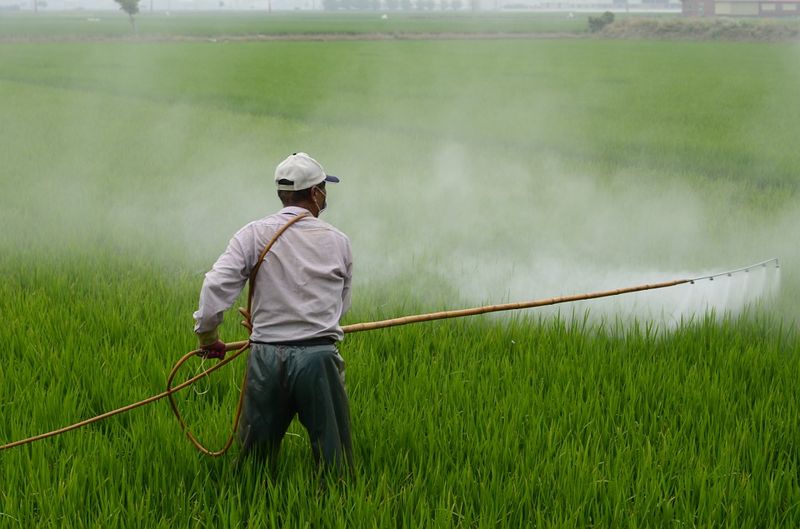 「寂靜的春天」預言實現了 研究發現新菸鹼類影響水生物和魚群
