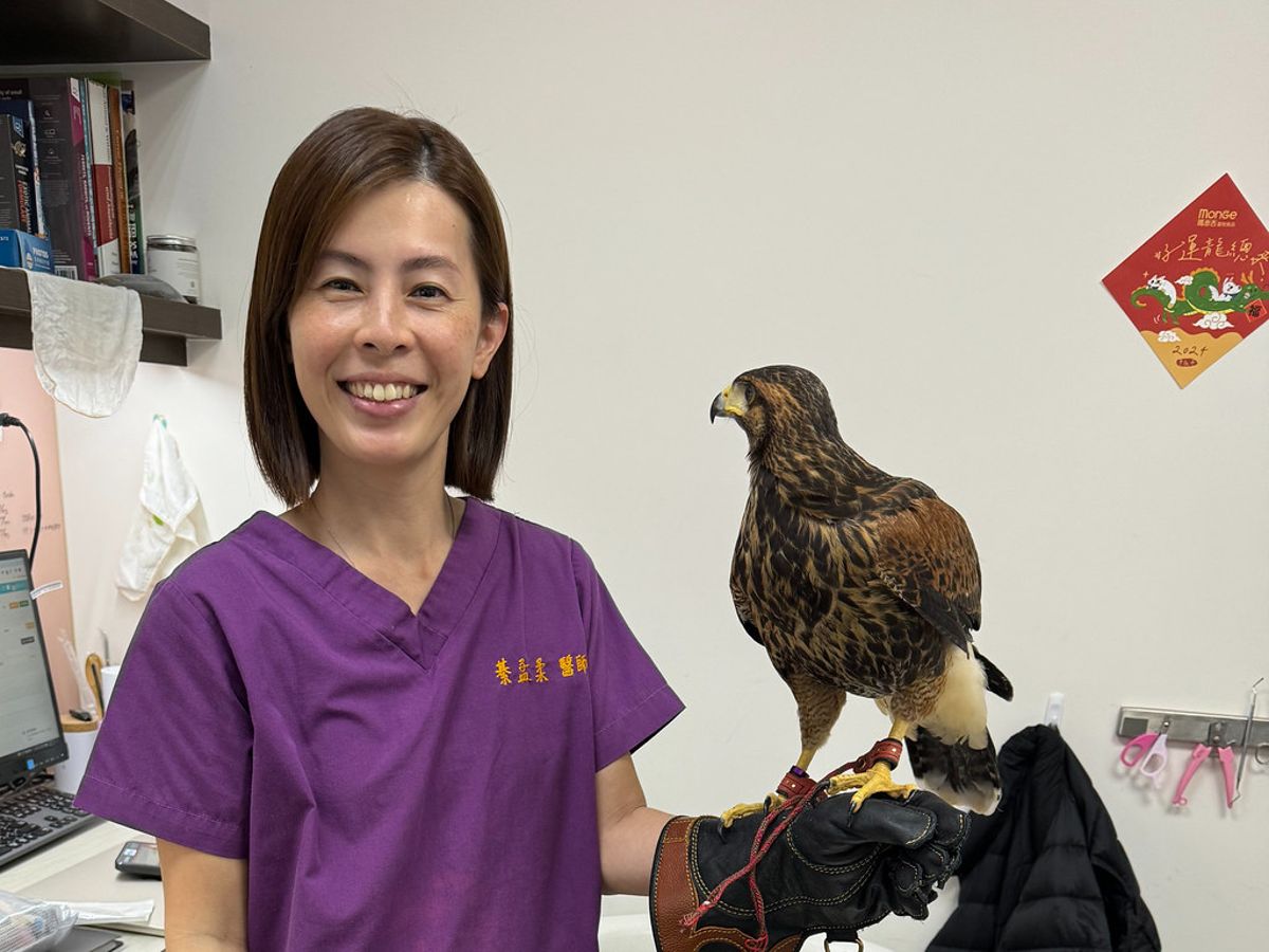 專訪野生動物獸醫師綦孟柔：把急診室留在野生動物身邊