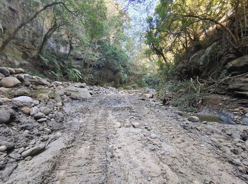 填埋河道毀溪流、規避生態檢核 客委會補助魚藤坪溪步道工程先停工