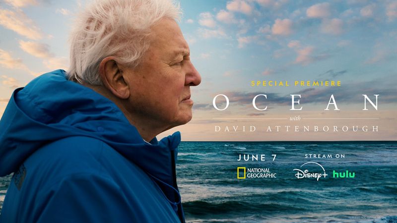 99歲國寶網紅的海洋奇緣 大衛・艾登堡新作《海洋》6月7日串流平台首播