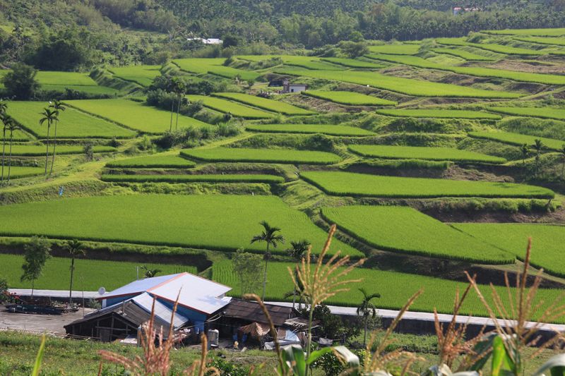 國土法變卦 行政院擬「一定期限」延後、國家重大建設可凌駕
