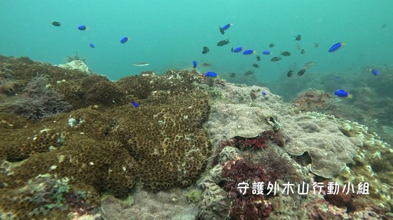 四接環評明登場 正反方攻防生態衝擊、儲氣、港務安全