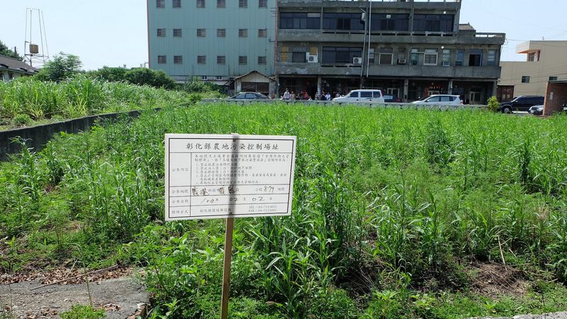 農地工廠1.3萬公頃何去何從？ 先看解編四大要件