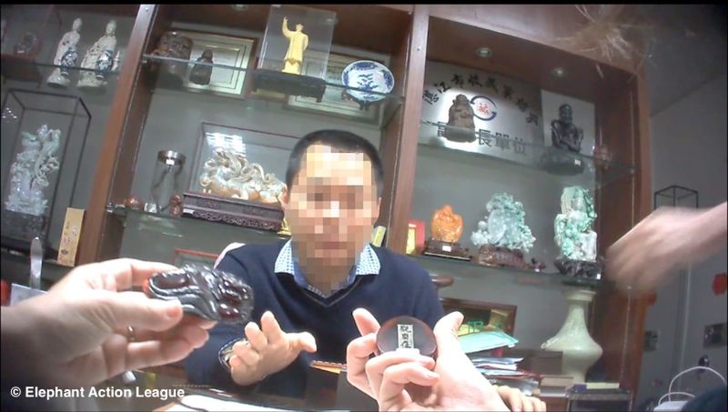 調查員潛入中國臥底 揭全球最大犀牛角黑市