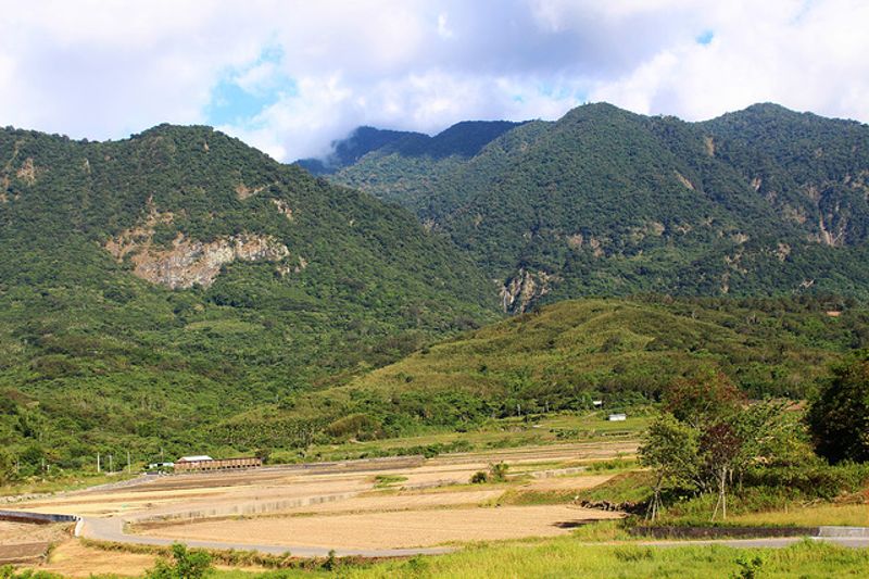 我們是靠山海吃飯的人！ 來看日本重拾「里山資本」的永續利用之道