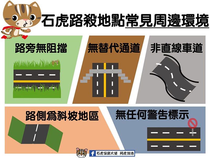 石虎路殺9年100起案例 特生中心分析出5種事故環境