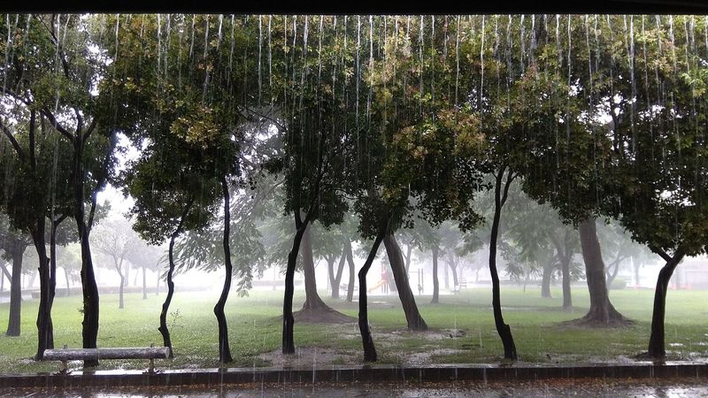 雨，你好嗎？