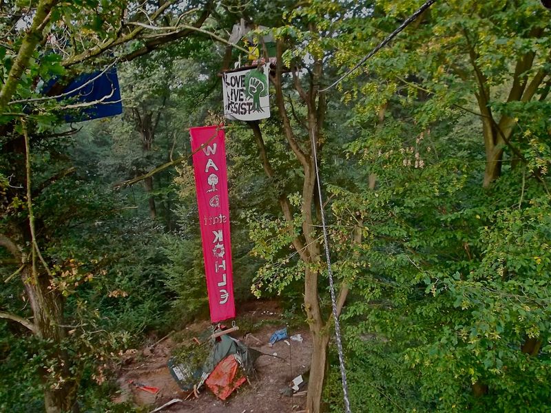 德反煤護樹運動佔領森林六年 警方清場 一記者死亡