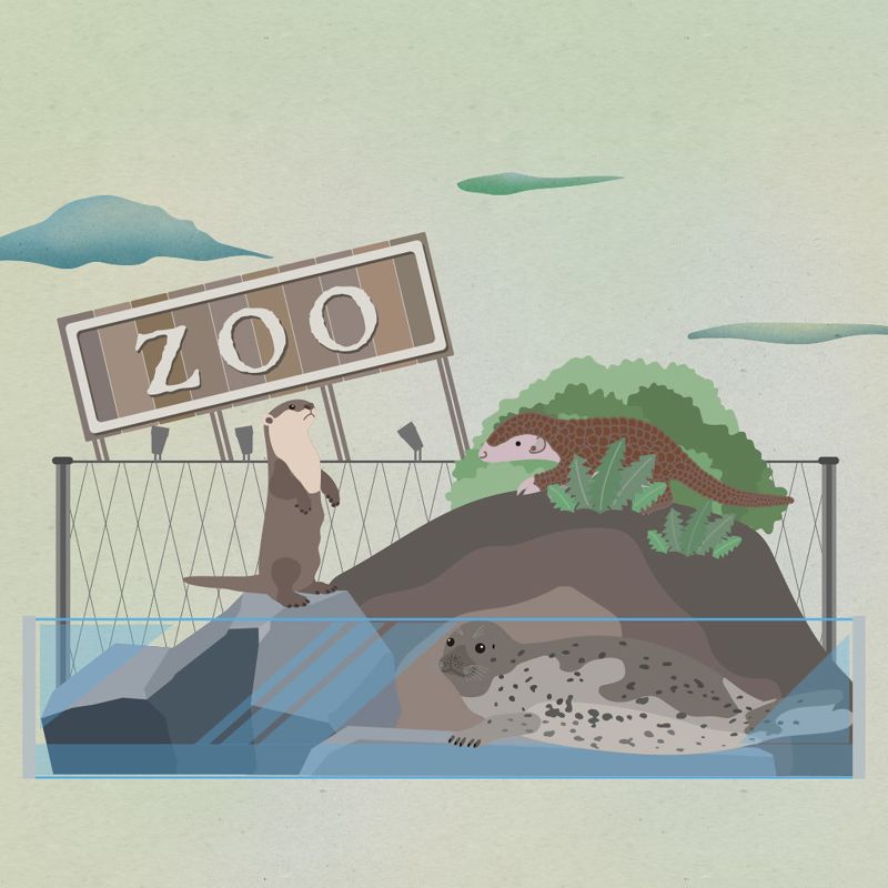 動物園有好多動物，生物多樣性應該很高！