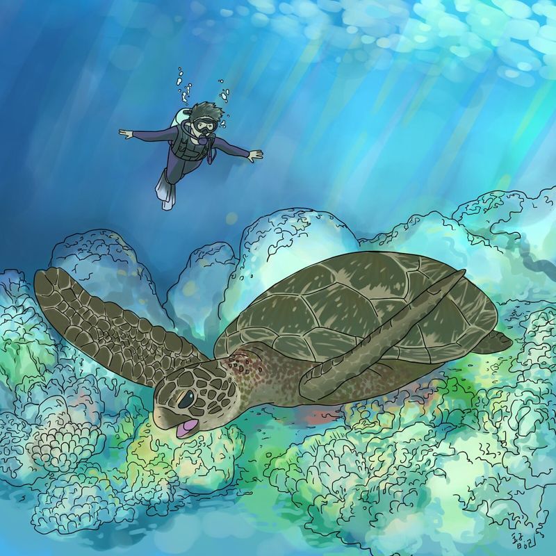 落實無痕旅遊 與海龜共游永續海洋