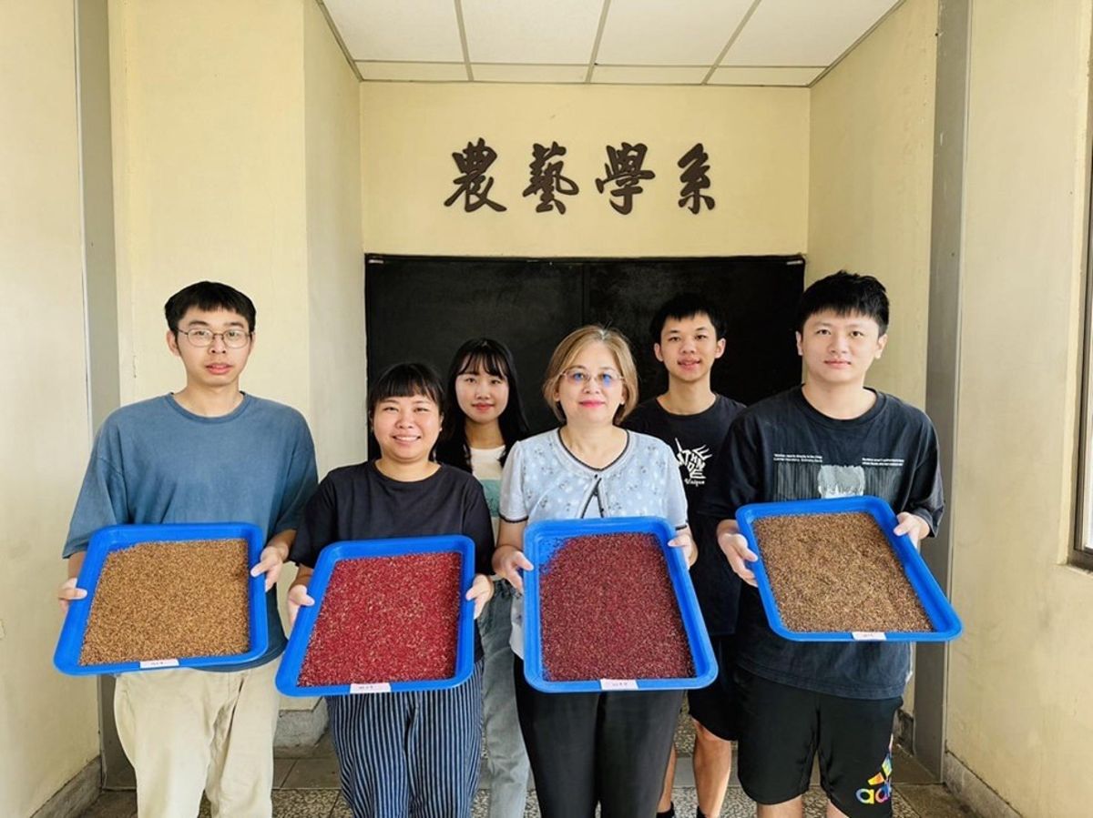 為什麼送種子上太空? 離開地球表面再回來的四種台灣代表性作物