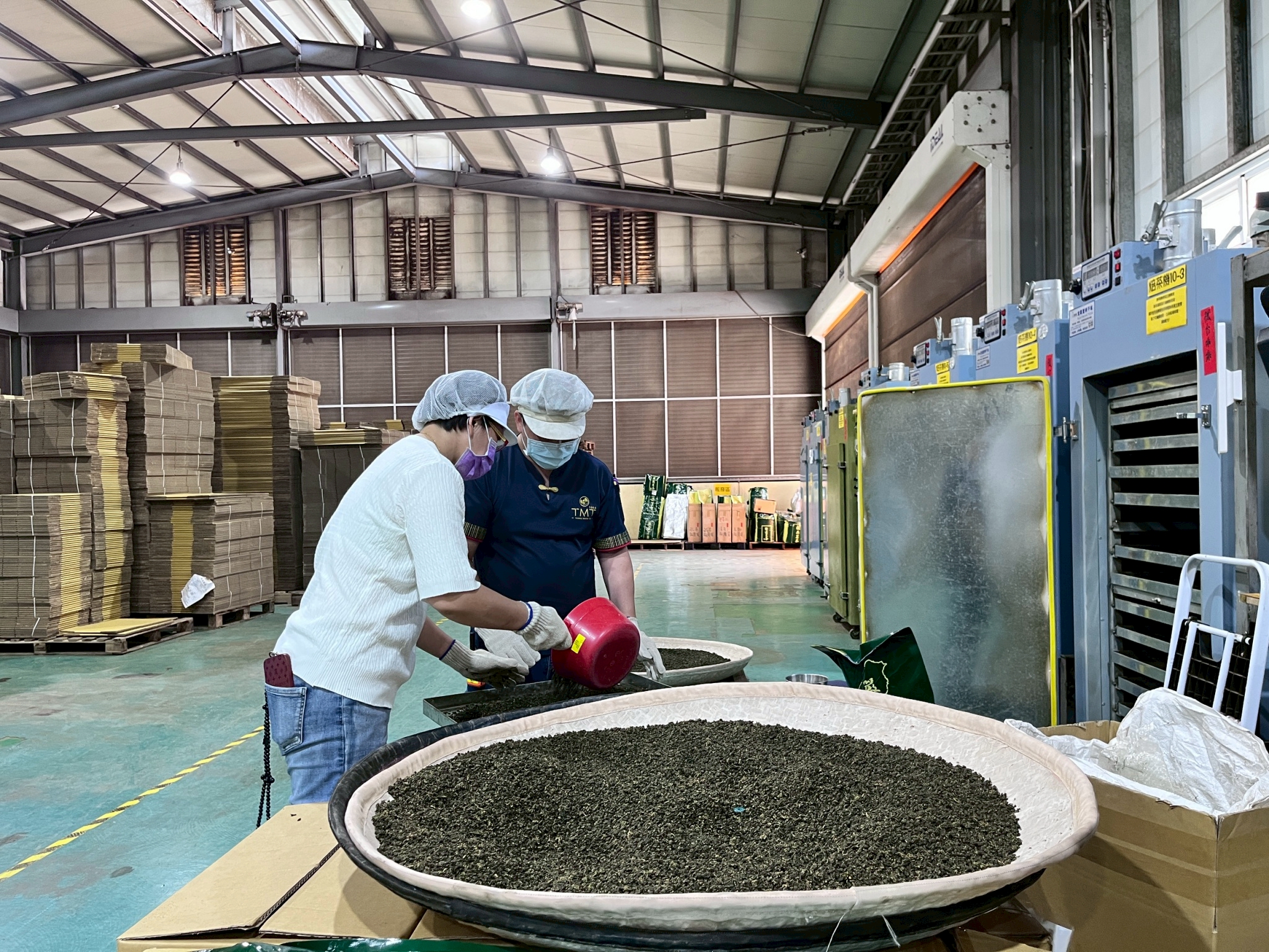 陳羽鉉於茶廠內整理茶葉原料，從傳統跨足循環經濟與寵物用品開發。圖片來源：陳羽鉉 提供