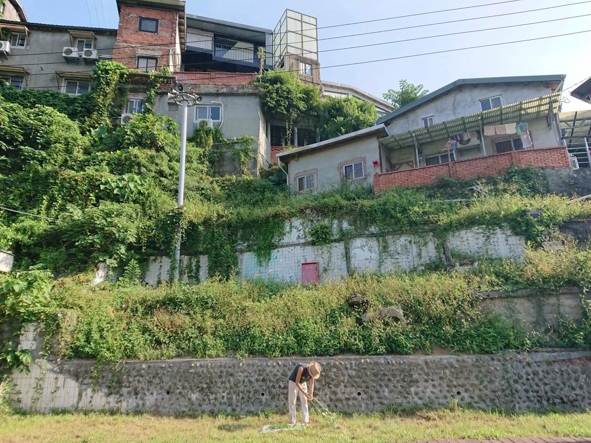 一杯「雜草茶」 翻轉人與自然的關係——專訪「雜草稍慢」創辦人林芝宇
