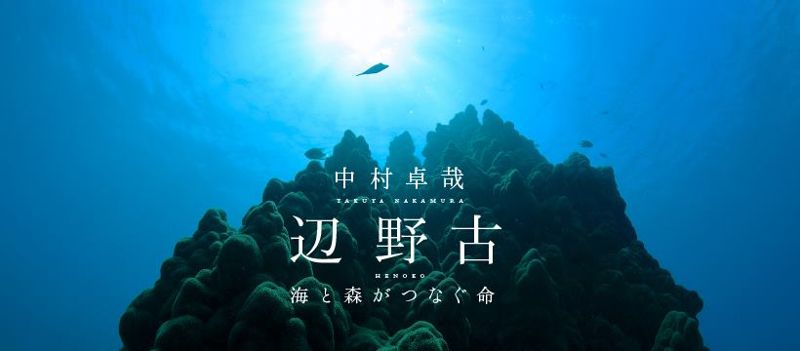 憂心遭填海工程破壞的海洋 日本攝影師下潛拍攝逾17年