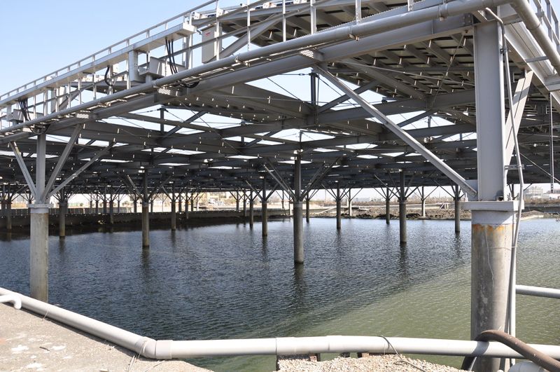 不讓養殖戶失血 「漁電共生」創育基地驗證 魚塭光電有助抗寒、遮陽