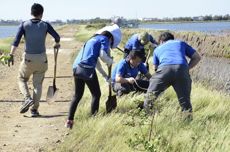 台灣愛丁頓熱血植樹 走訪嘉義沿海認識鹽田濕地