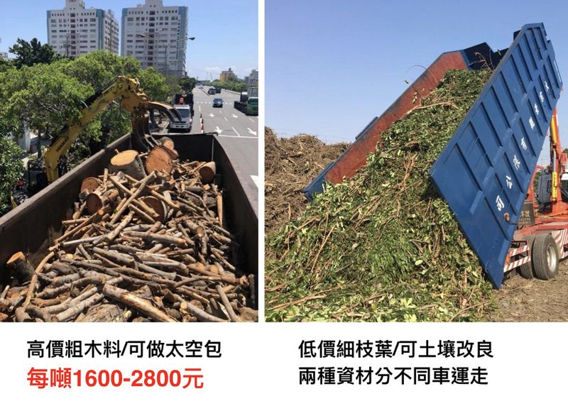 行道樹修剪木料可變賣牟利 環團：應比照漂流木、廢五金管控