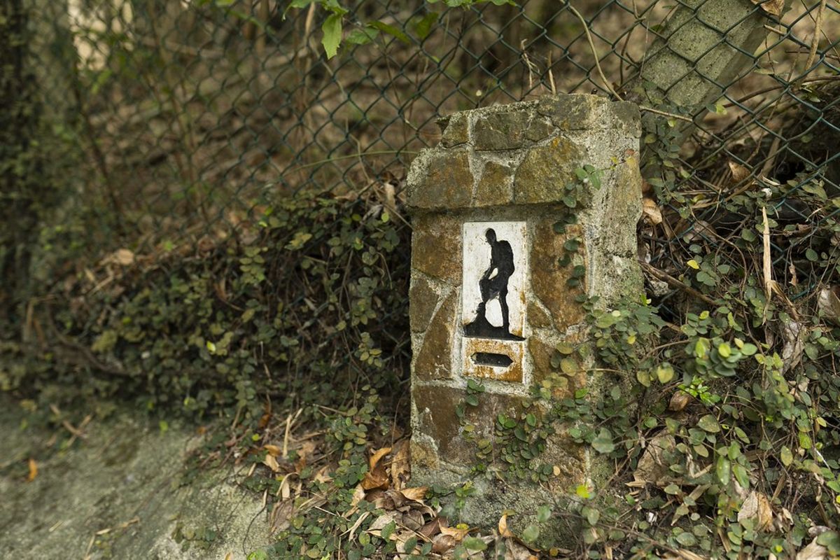 來自1970年代的永續遺產：香港郊野公園