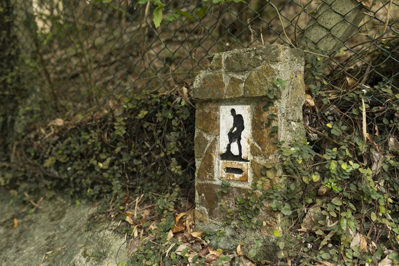 來自1970年代的永續遺產：香港郊野公園