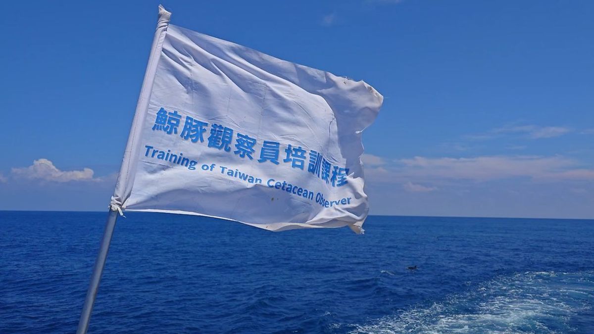 湛翔智／對台灣鯨豚觀察員制度修正的期許