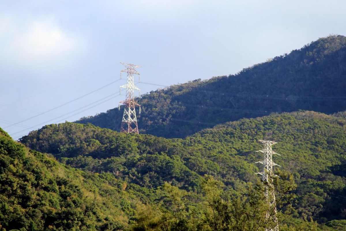 台電首賣RE30低碳電力 主力消費者是誰、電價分艙如何影響企業減碳？