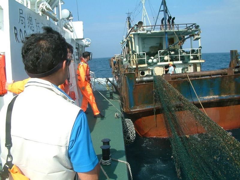 走私海產加藥保鮮 聰明買魚技巧大公開