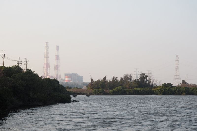 五星級賞鳥景點蓋電廠 環團籲高市府一起守護黑琵棲地