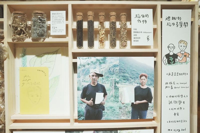 走進彼桑拉返特展——看見布農菜園的永續農耕智慧