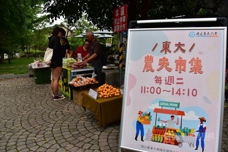 吃當地食當季 台東大學開辦農夫市集