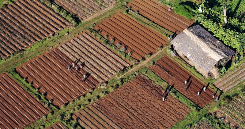 餐桌上的減碳計畫：智庫研究改善糧食系統 可實現2050年減碳目標20%