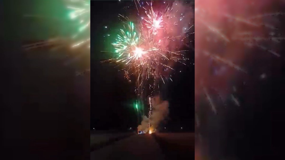 沙崙草鴞棲地深夜放煙火挨罰 目擊者:草鴞立刻躲避離開