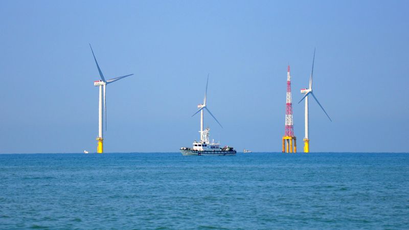 憂西部海域「風機隨便插」毀生態 漁民籲近岸海域劃入高敏感區