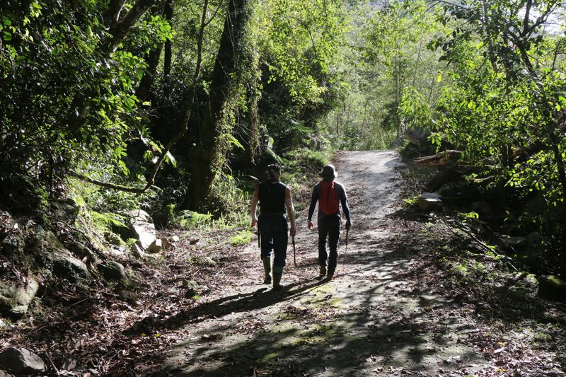 起薪26K,靠辣椒水、山刀搏命,紀錄片《森林護衛隊》要幫護管員發聲爭權益